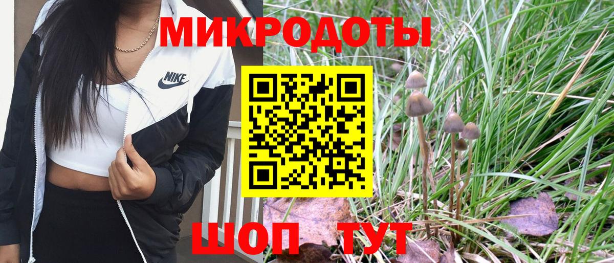 Нурлат  Псилоцибиновые грибы Psilocybine cubensis  Вход с VPN 